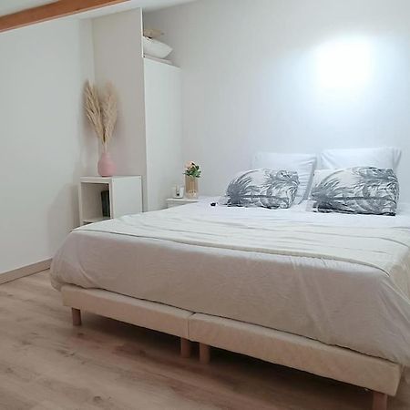 Loft En Centre Ville Perpignan Buitenkant foto